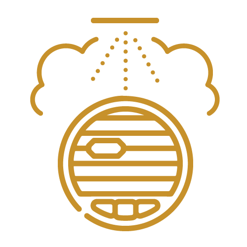 Ozon-Behandlung Icon