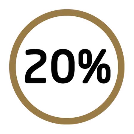 20% Icon